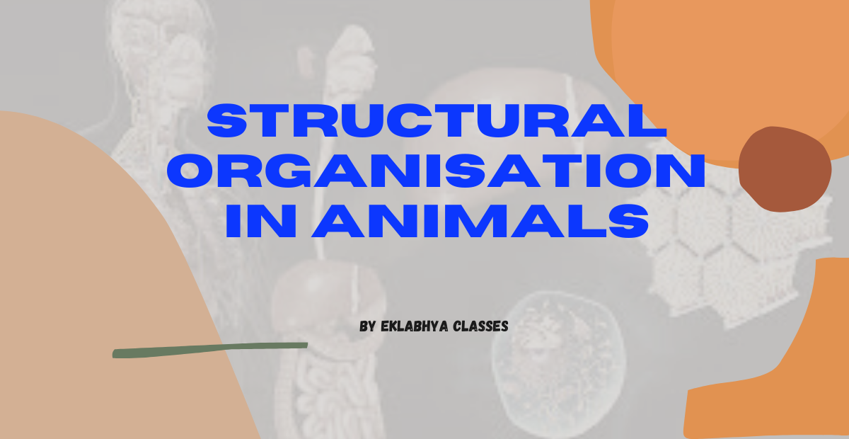 Structural Organisation in Animals - Eklabhya Classes