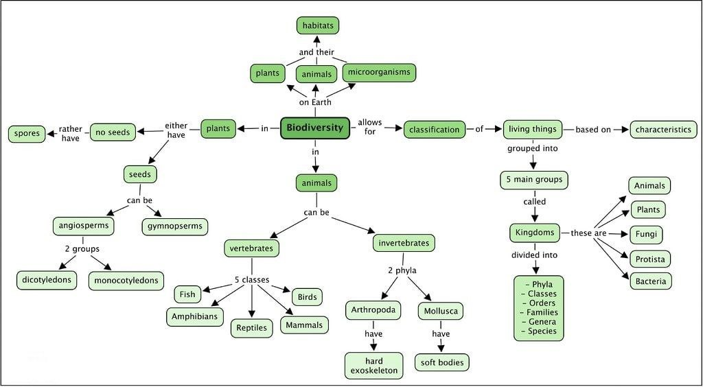 Biodiversity & Conservation